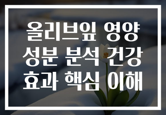 올리브잎 영양 성분 분석 건강 효과 핵심 이해