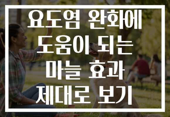 요도염 완화에 도움이 되는 마늘 효과 제대로 보기