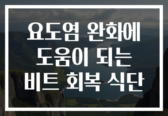 요도염 완화에 도움이 되는 비트 회복 식단