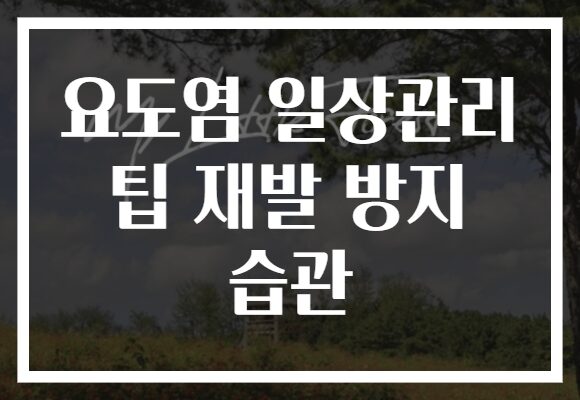 요도염 일상관리 팁 재발 방지 습관