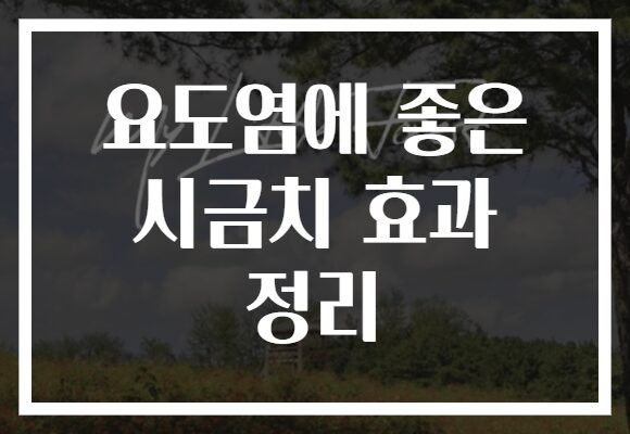 요도염에 좋은 시금치 효과 정리