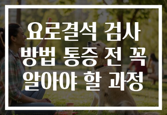 요로결석 검사 방법 통증 전 꼭 알아야 할 과정