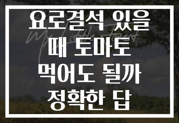 요로결석 있을 때 토마토 먹어도 될까 정확한 답