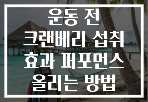 운동 전 크랜베리 섭취 효과 퍼포먼스 올리는 방법