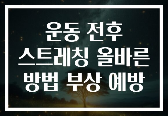 운동 전후 스트레칭 올바른 방법 부상 예방