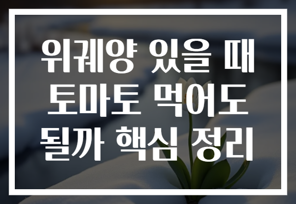 위궤양 있을 때 토마토 먹어도 될까 핵심 정리