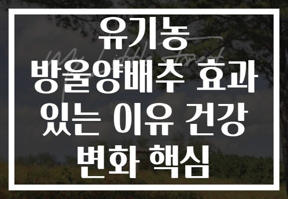 유기농 방울양배추 효과 있는 이유 건강 변화 핵심