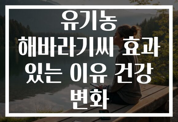 유기농 해바라기씨 효과 있는 이유 건강 변화