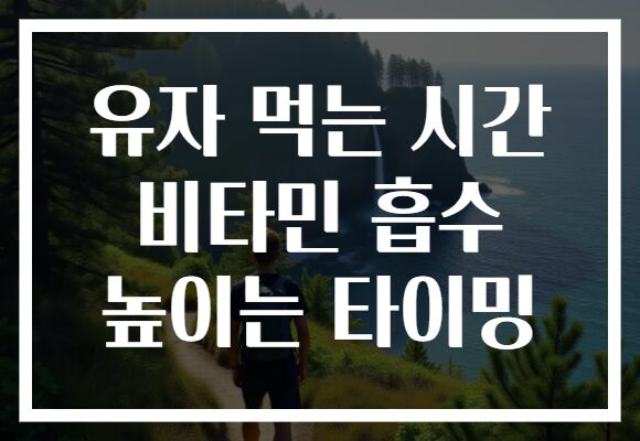 유자 먹는 시간 비타민 흡수 높이는 타이밍