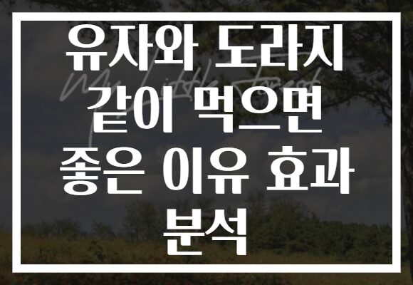 유자와 도라지 같이 먹으면 좋은 이유 효과 분석