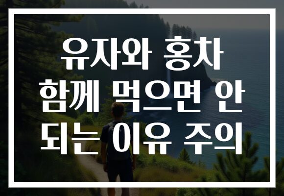 유자와 홍차 함께 먹으면 안 되는 이유 주의