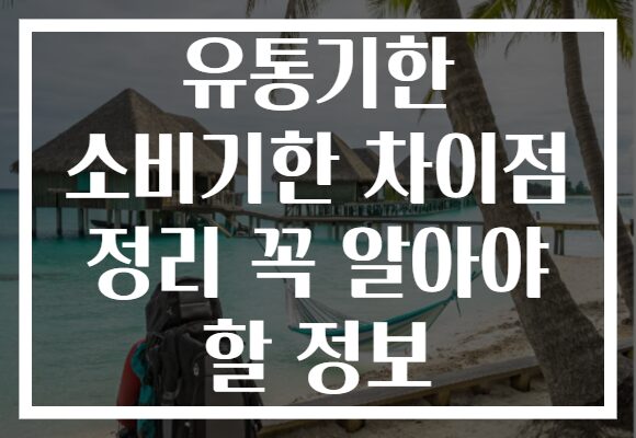 유통기한 소비기한 차이점 정리 꼭 알아야 할 정보