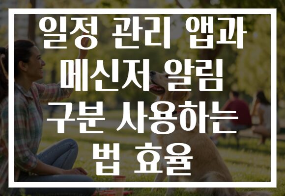 일정 관리 앱과 메신저 알림 구분 사용하는 법 효율