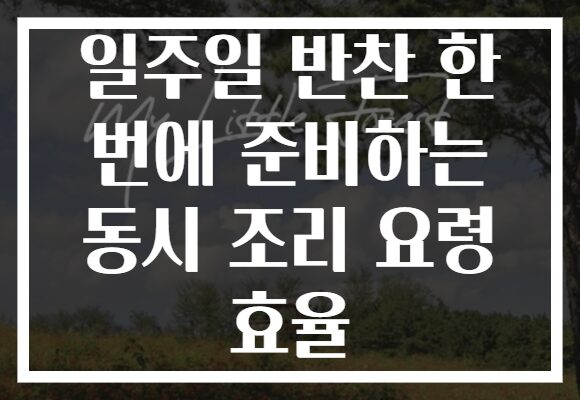 일주일 반찬 한 번에 준비하는 동시 조리 요령 효율