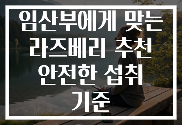 임산부에게 맞는 라즈베리 추천 안전한 섭취 기준