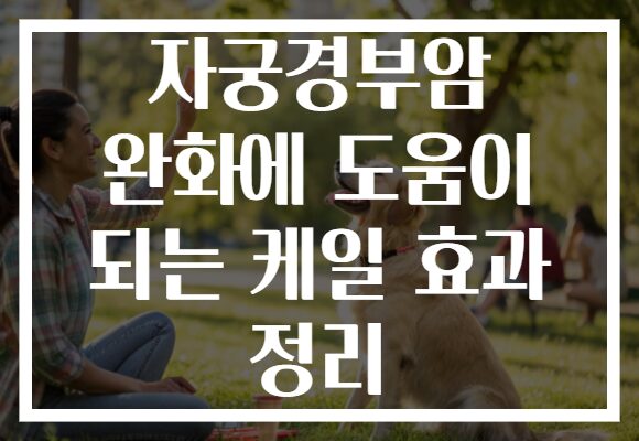 자궁경부암 완화에 도움이 되는 케일 효과 정리