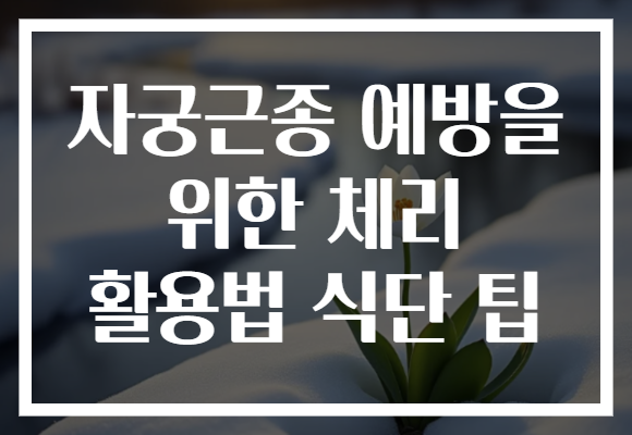 자궁근종 예방을 위한 체리 활용법 식단 팁