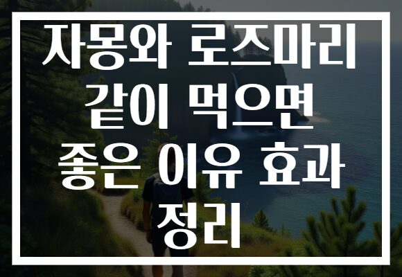 자몽와 로즈마리 같이 먹으면 좋은 이유 효과 정리