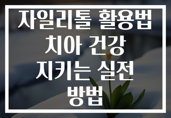 자일리톨 활용법 치아 건강 지키는 실전 방법