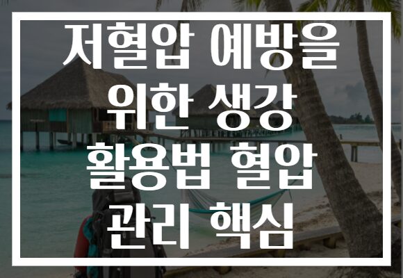 저혈압 예방을 위한 생강 활용법 혈압 관리 핵심