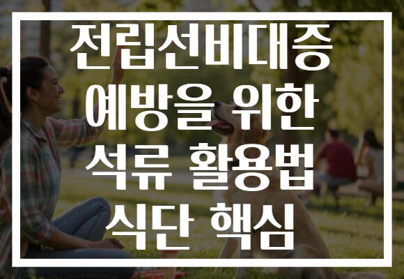 전립선비대증 예방을 위한 석류 활용법 식단 핵심