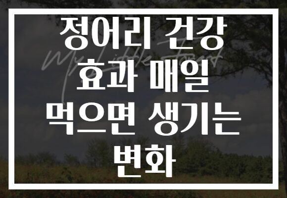 정어리 건강 효과 매일 먹으면 생기는 변화