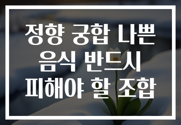 정향 궁합 나쁜 음식 반드시 피해야 할 조합