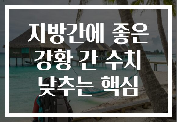 지방간에 좋은 강황 간 수치 낮추는 핵심