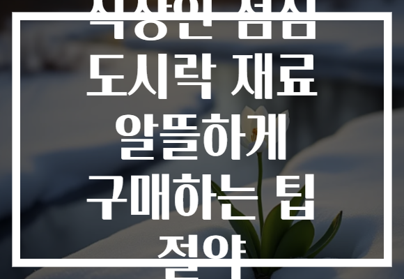 직장인 점심 도시락 재료 알뜰하게 구매하는 팁 절약