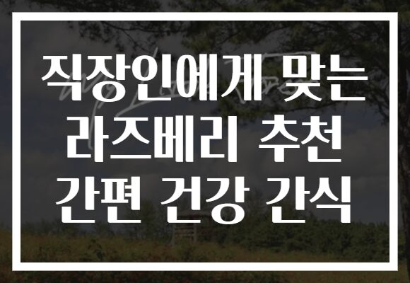 직장인에게 맞는 라즈베리 추천 간편 건강 간식