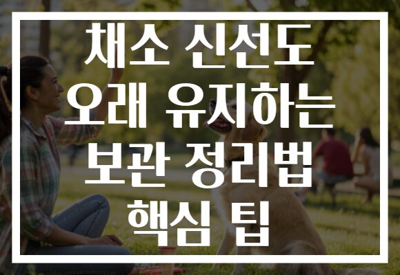 채소 신선도 오래 유지하는 보관 정리법 핵심 팁