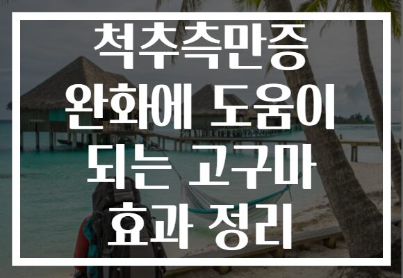 척추측만증 완화에 도움이 되는 고구마 효과 정리