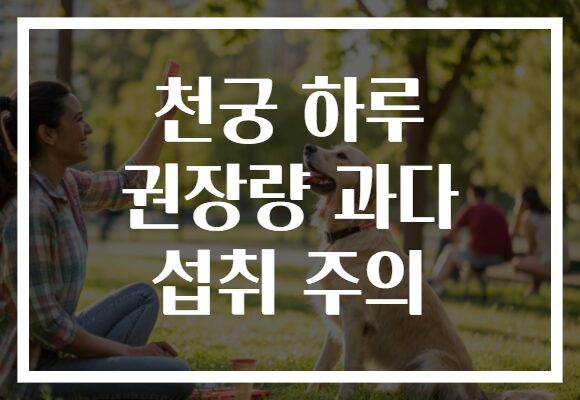 천궁 하루 권장량 과다 섭취 주의