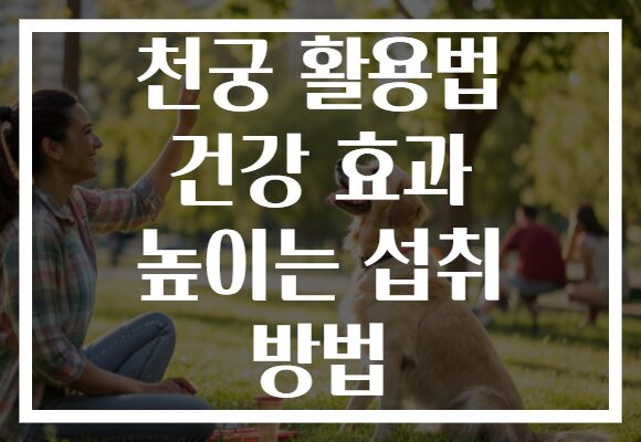 천궁 활용법 건강 효과 높이는 섭취 방법