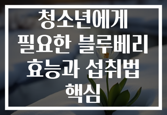 청소년에게 필요한 블루베리 효능과 섭취법 핵심