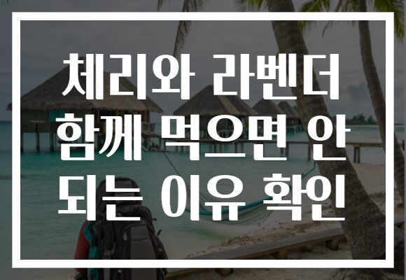 체리와 라벤더 함께 먹으면 안 되는 이유 확인