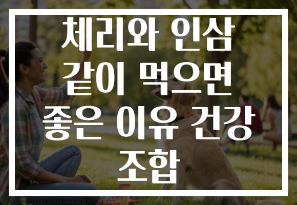 체리와 인삼 같이 먹으면 좋은 이유 건강 조합