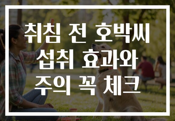 취침 전 호박씨 섭취 효과와 주의 꼭 체크
