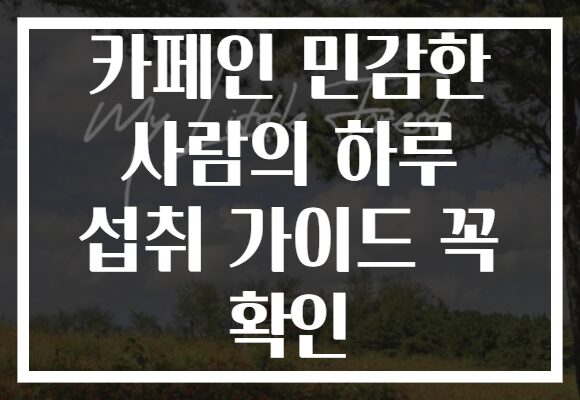 카페인 민감한 사람의 하루 섭취 가이드 꼭 확인