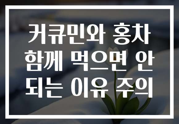 커큐민와 홍차 함께 먹으면 안 되는 이유 주의