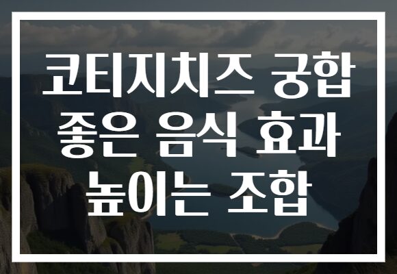 코티지치즈 궁합 좋은 음식 효과 높이는 조합