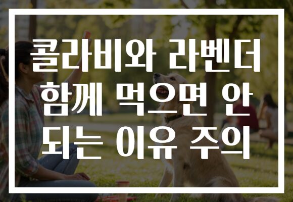 콜라비와 라벤더 함께 먹으면 안 되는 이유 주의