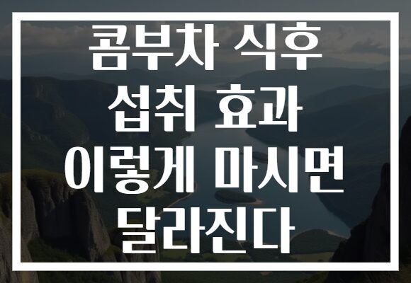 콤부차 식후 섭취 효과 이렇게 마시면 달라진다