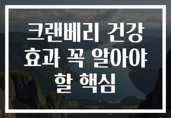 크랜베리 건강 효과 꼭 알아야 할 핵심