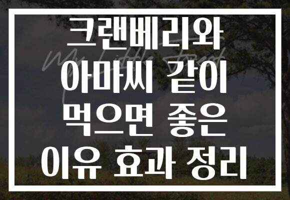 크랜베리와 아마씨 같이 먹으면 좋은 이유 효과 정리