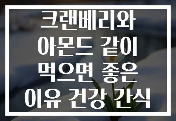 크랜베리와 아몬드 같이 먹으면 좋은 이유 건강 간식