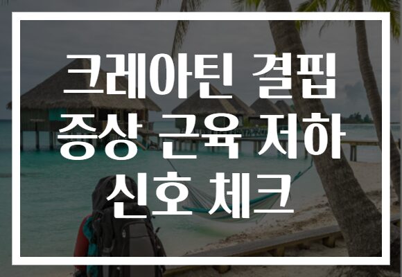 크레아틴 결핍 증상 근육 저하 신호 체크