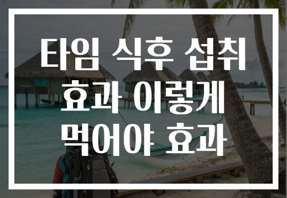 타임 식후 섭취 효과 이렇게 먹어야 효과