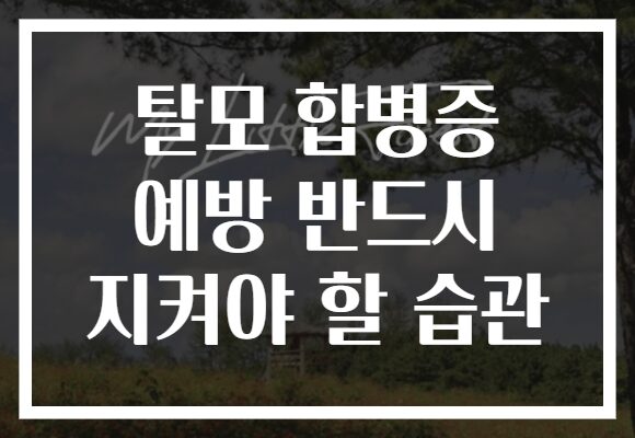 탈모 합병증 예방 반드시 지켜야 할 습관