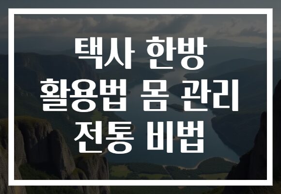 택사 한방 활용법 몸 관리 전통 비법